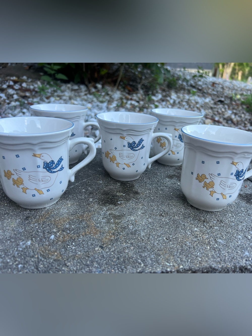 Firm Price 1980s Grandma Cottagecore Goose 5 piece cup set. Excellent quality